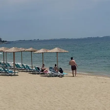 Look To The Sea *